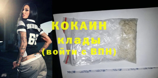 дживик Аркадак