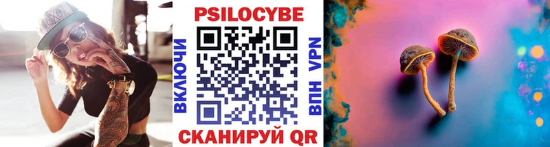 Псилоцибиновые грибы Cubensis Приволжск
